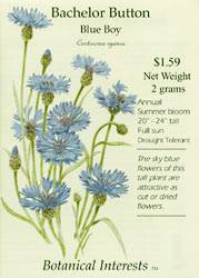 Bachelor Button Blue Boy Seeds