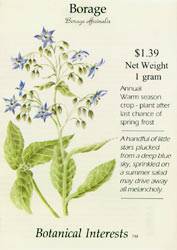 Borage officinalis Borage Seeds Plant