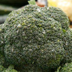 Broccoli Gypsy Organic Organic Plant