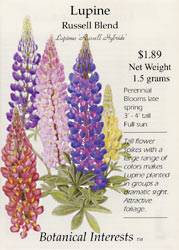 Lupine Russell Mix Seeds