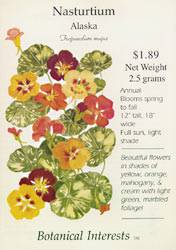 Nasturtium Alaska Seeds
