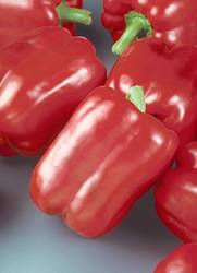 Sweet Bell Peppers Red Beauty Annual