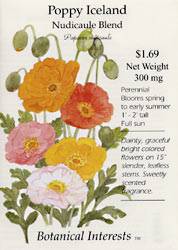 Poppy Iceland Nudicaule Mix Seeds