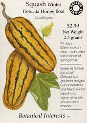 Squash Winter Delicata Seeds