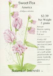 Sweet Pea America Seeds