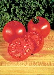 Tomato Burpee Big Boy Annual