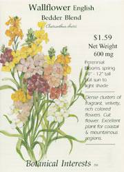 Wallflower English Bedder Mix Seeds