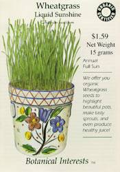 Wheatgrass Seeds
