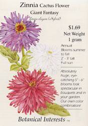 Zinnia Cactus Flower Mix Seeds