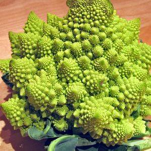 Cauliflower Romanesco Organic Organic Plant