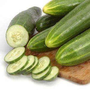 Cucumber Marketmore 76 Organic Organic Plant