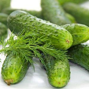 Cucumber National Pickling Organic Organic Plant