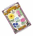 Lovers Garden Seeds