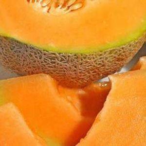 Muskmelon Hales Best Organic Organic Plant