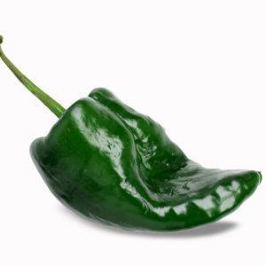 Pepper Poblano Ancho Organic Organic Plant