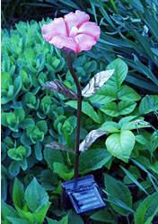 Solar Hibiscus Stake