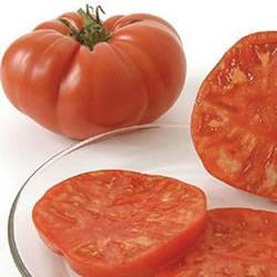 Tomato Brandywine Organic Organic Plant