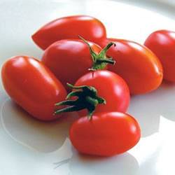 Tomato Juliette Organic Organic Plant